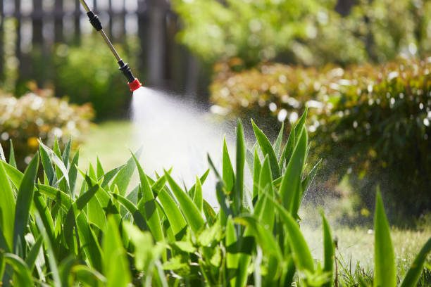 24/7 Emergency Mosquito Control experts in Ware Shoals, SC